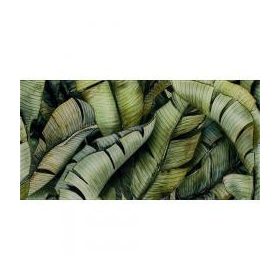 Paradyz UNIVERSAL GLASS INSERTO LEAF B 30X60