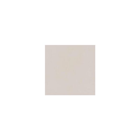 Industrio Light Grey 79,8x79,8 