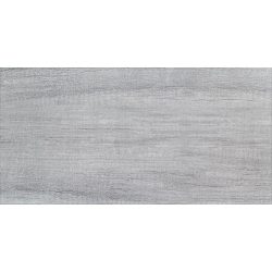 Malena graphite 30,8x60,8  