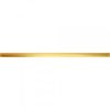 Gold Glossy 59,8x2,3 