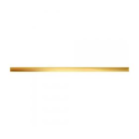 Gold Glossy 59,8x2,3 