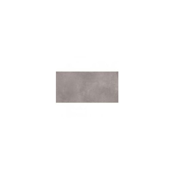 GRES TASSERO GRIS RECT. 1197x597x10