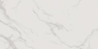 Vijo Arya (CCR174 ) 30x60