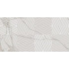 Vijo Arya Dekor (CCR182) 30x60
