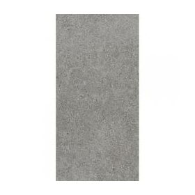 Flame AUTRIM GREY MAT 29,8X59,8 G1