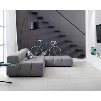 Paradyz 