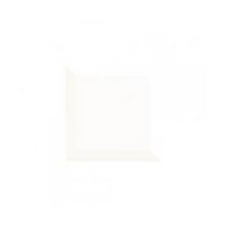 Tamoe Kafel  Bianco 9,8 x 9,8 falilap
