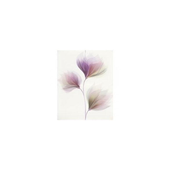 LORIS WHITE INSERTO FLOWER 40X50